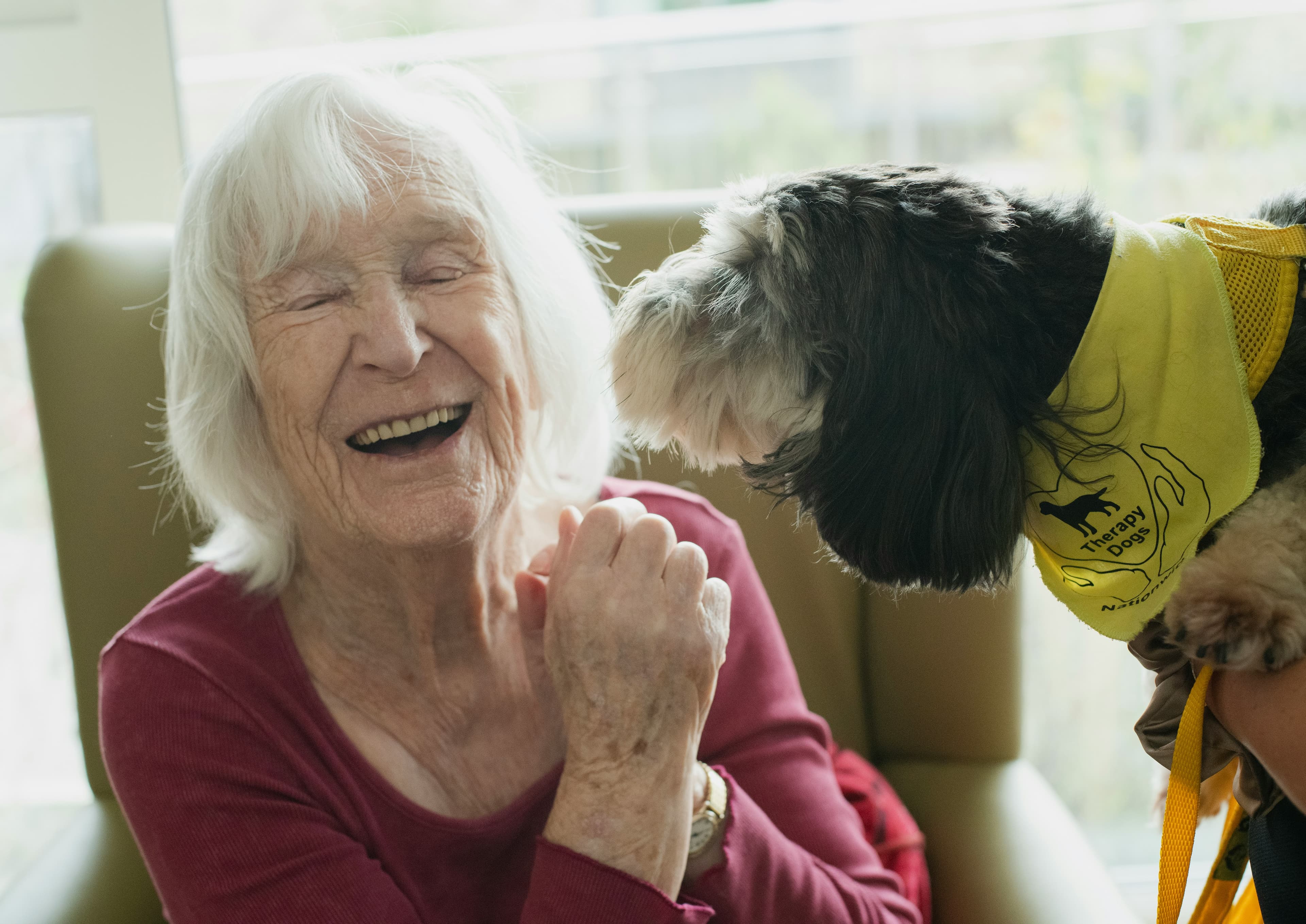 Médiation animale chien thérapie personne âgée